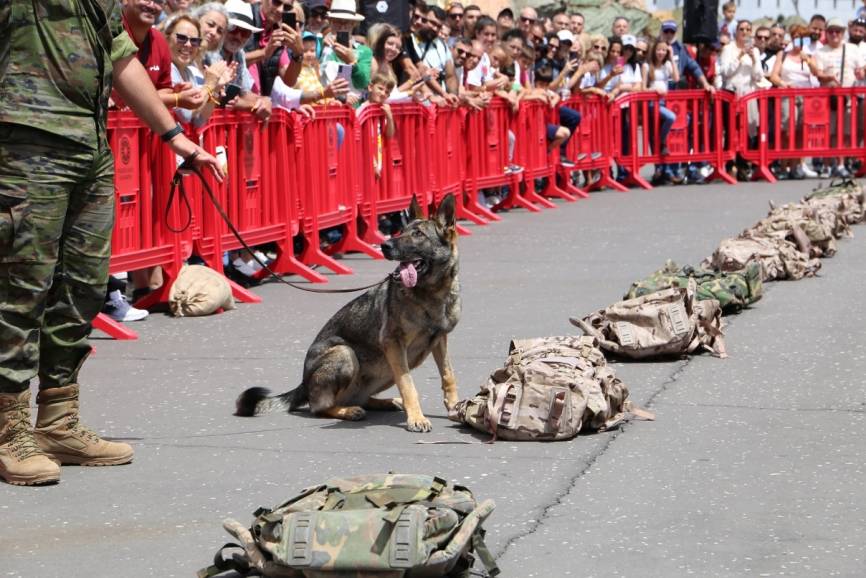 Exhibición dinámica del Equipo Cinológico. Foto archivo DIFAS 24.