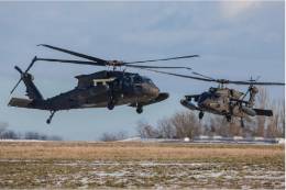 La aviacin del Australian Army operar en breve una flota de 40 UH-60M de la firma norteamericana Sikorsky. (Australian Army)