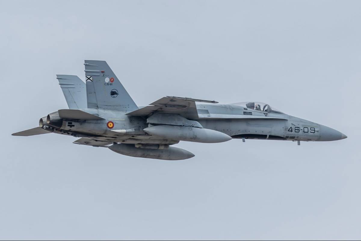 Uno de los veteranos F/A-18A del Ala 46, en su deriva se aprecia el logo del X aniversario de la proclamacin de S. M. el Rey Felipe VI.